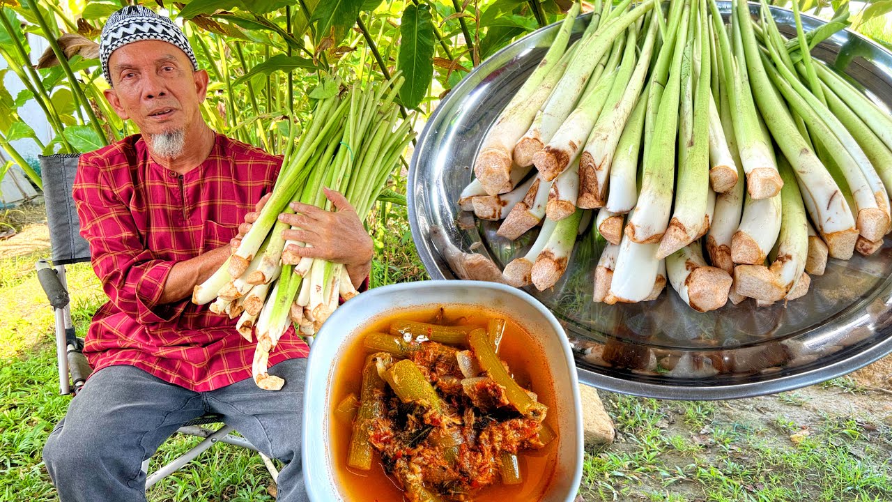 KELADI ASAM REBUS UTARA ‼️ Sayur Lagend
