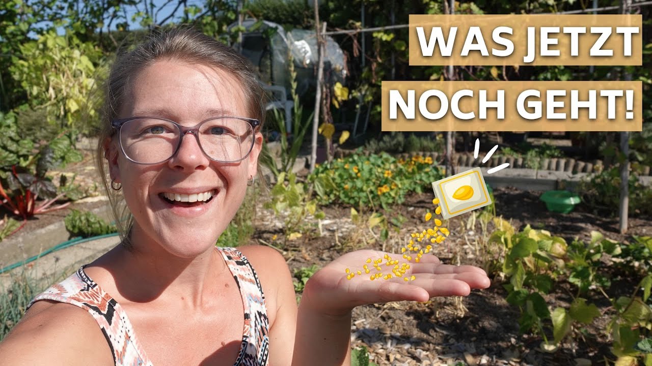 5 Gemüse zur Aussaat im September: Frisches Gemüse für den Herbstanbau I Voranzucht & Direktsaaten