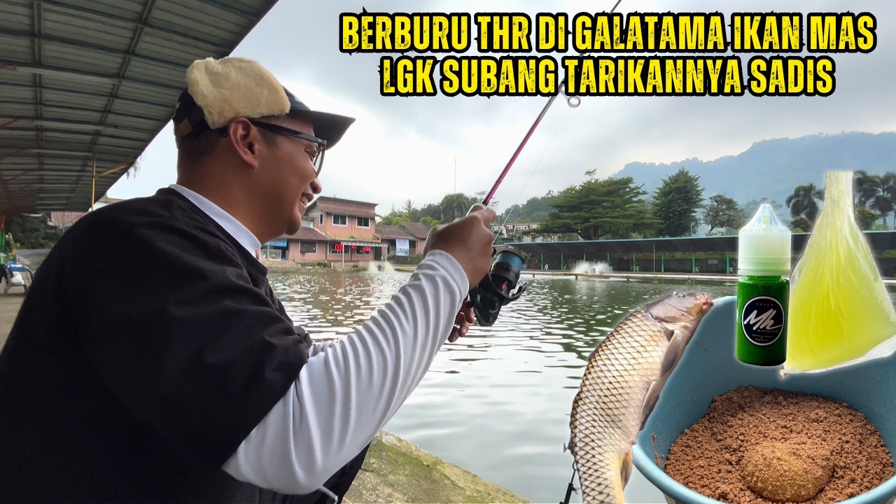ESSEN MH MANCING WALANG MELON DI GALATAMA IKAN MAS SUBANG