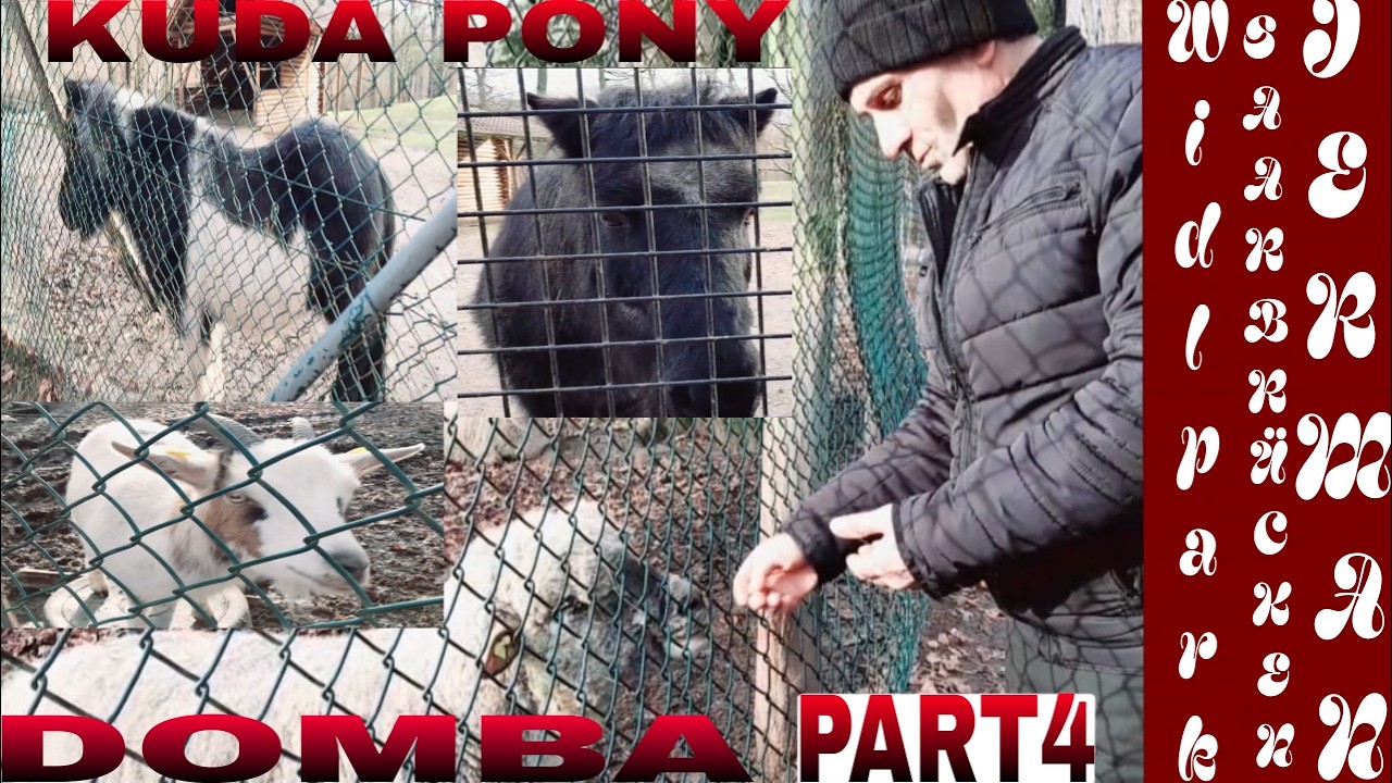 DOMBA#KUDA#BABI HUTAN DI WILDPARK SAARBRÜCKEN  #PART4