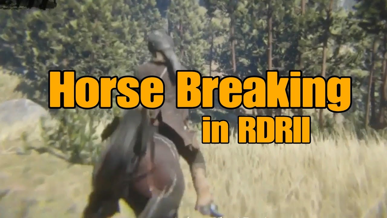 Horse Breaking in RDRII