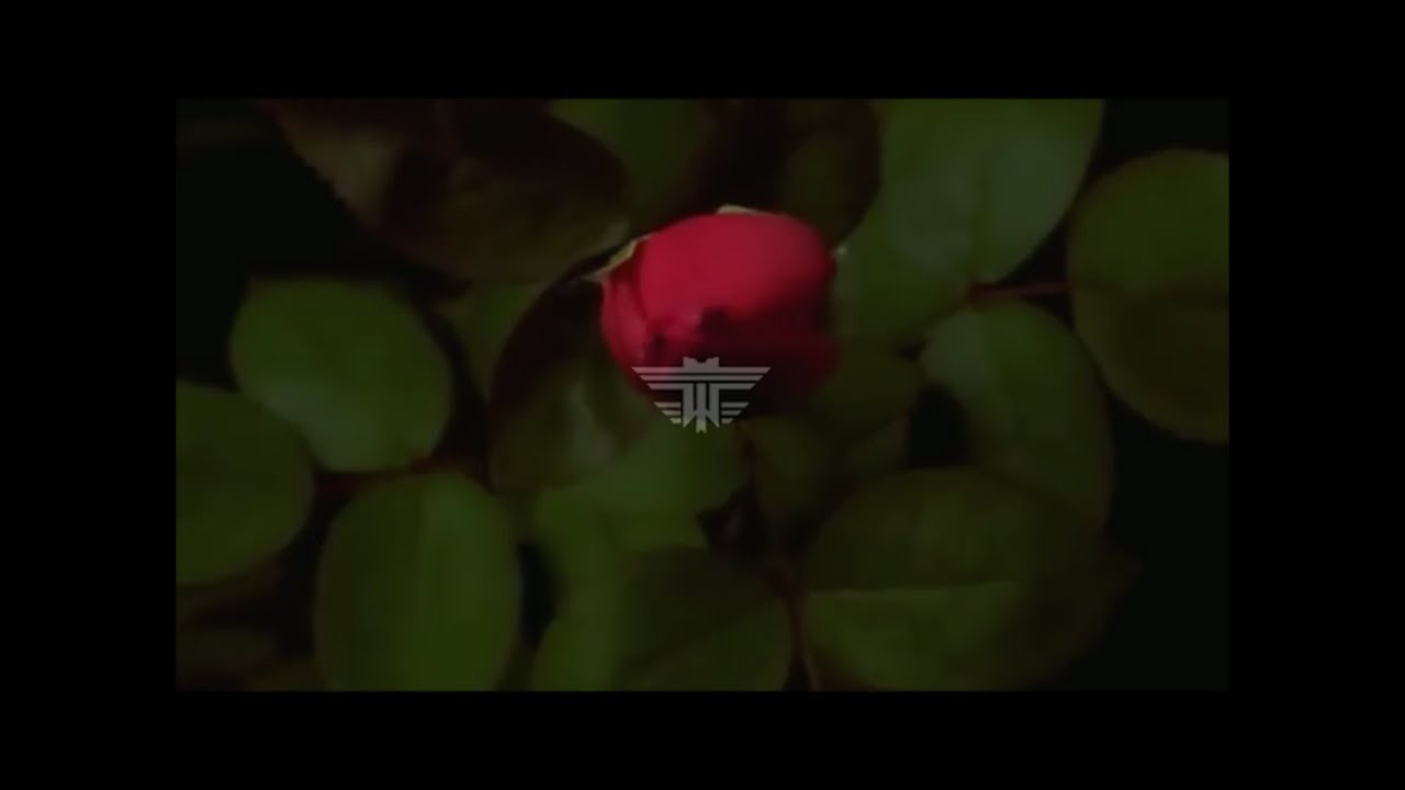 Spark Off The Air