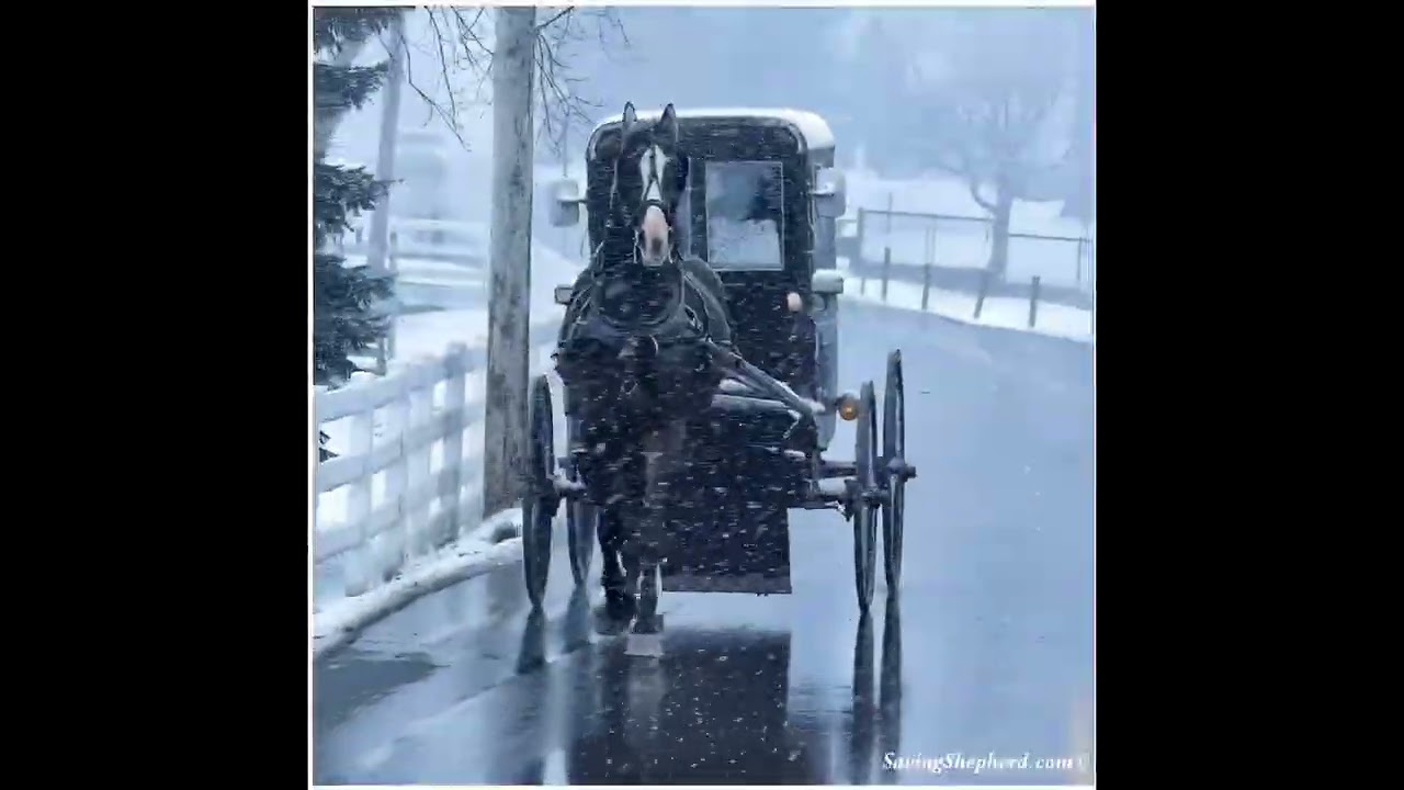 2025 Amish School Christmas Program - Singing Carols & Praise