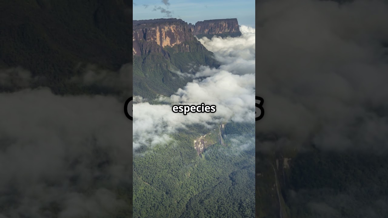 El Misterioso Tepuy Roraima  La Monta&ntilde;a M&aacute;s Antigua del Mundo #Roraima #Venezuela #Tepuy #ShortViral