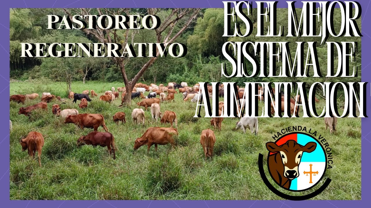IMPORTANCIA DE UN SISTEMA REGENERATIVO