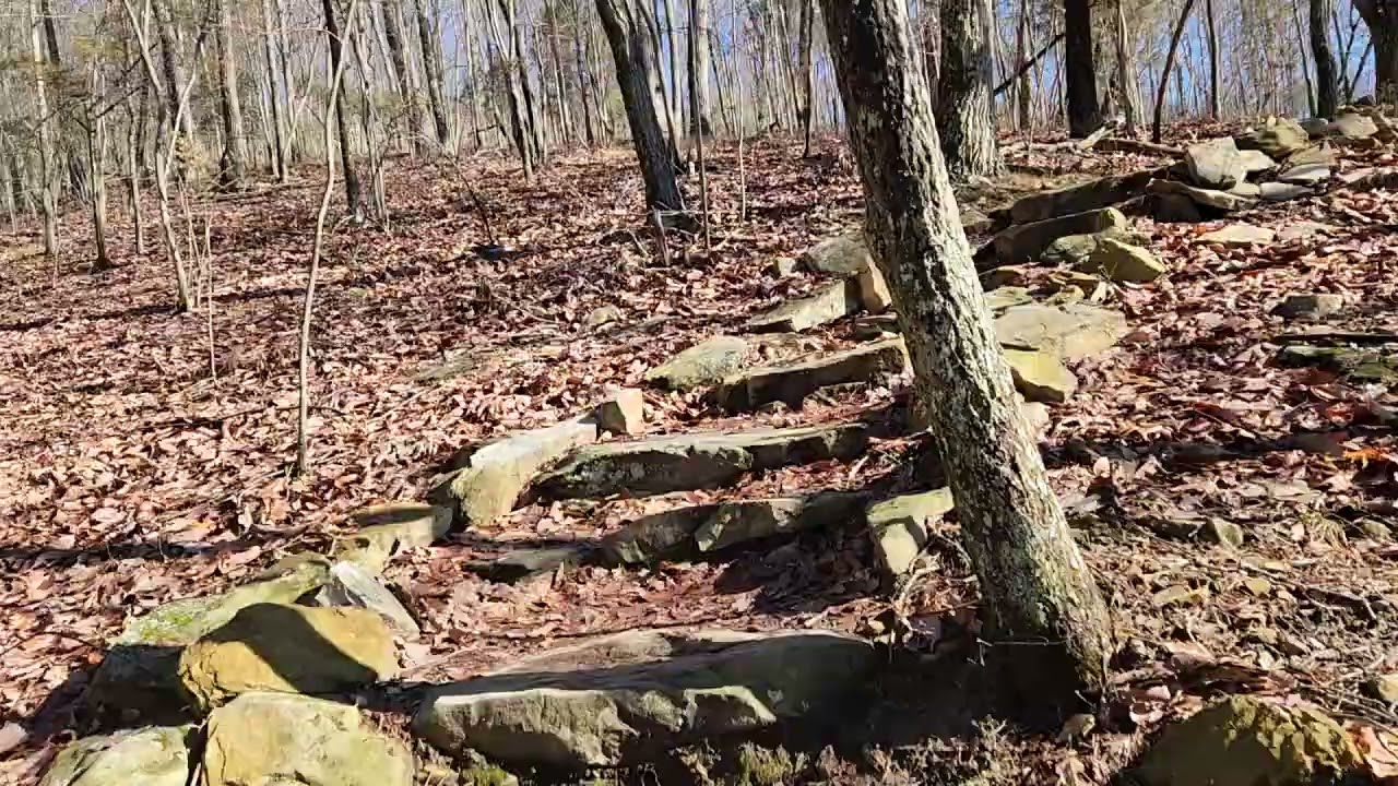 Fire Tower Trail Bays Mountain