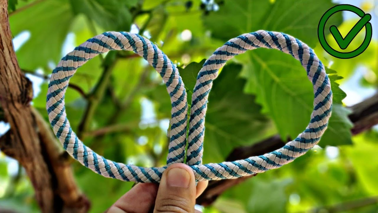 9 Popular Master Knots You Didn't Know About