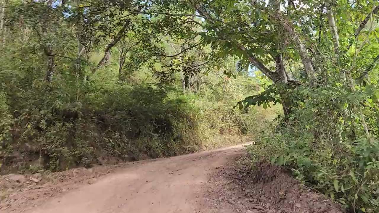 Ranchones Arada y paso por caminos entre pinos. #travel #rutasypaisajesmotorcicle  