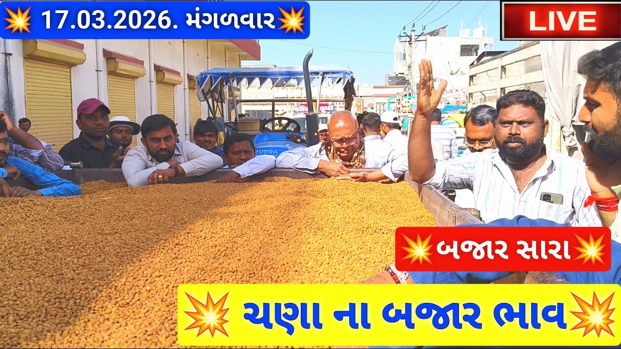 🔴live ચણા ના બજાર ભાવ આજના જસદણ માર્કેટિંગ યાર્ડ, chana auction price today,March 17, 2026