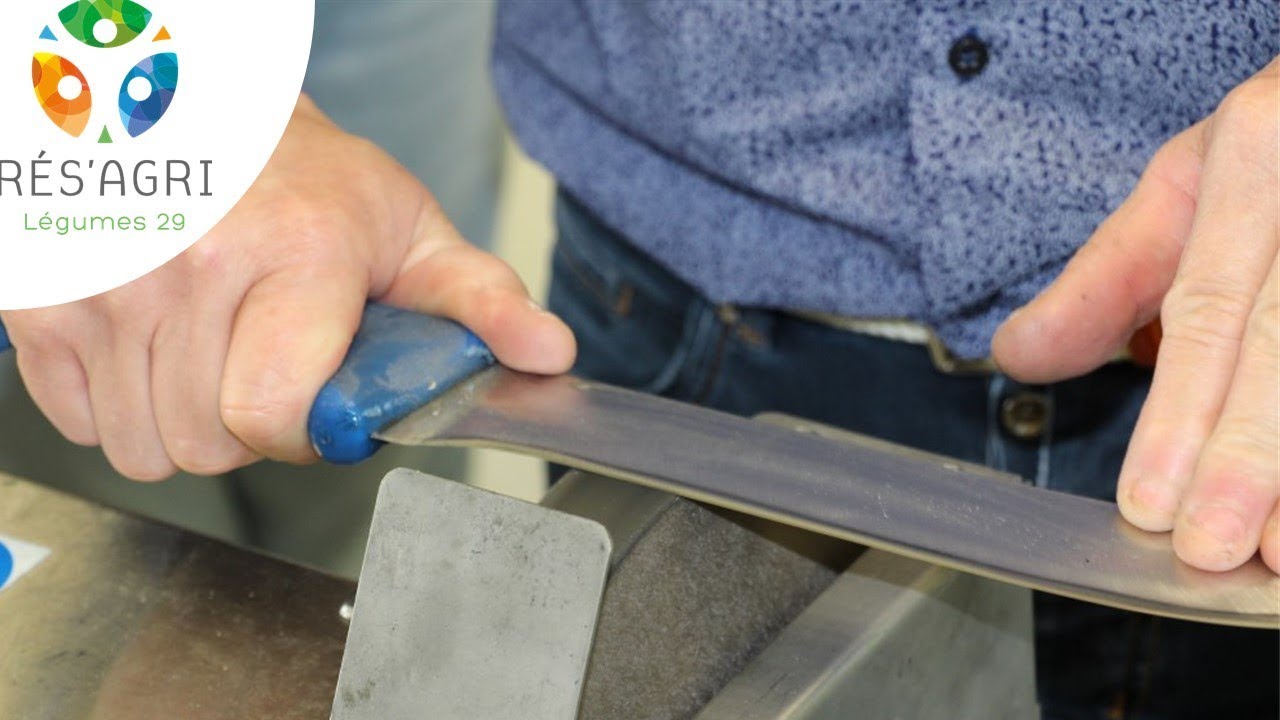 Affutage et affilage des couteaux