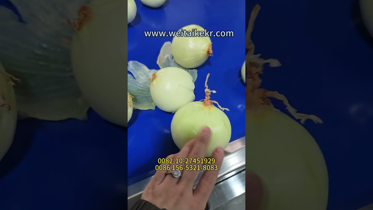 Onion automatic peeling machine + Head and tail cutting machines