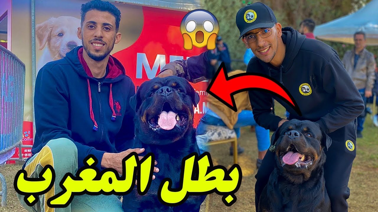 ها كيفاش داز نهار تاني ف Expo مع احسن كليبات 🐕🐶