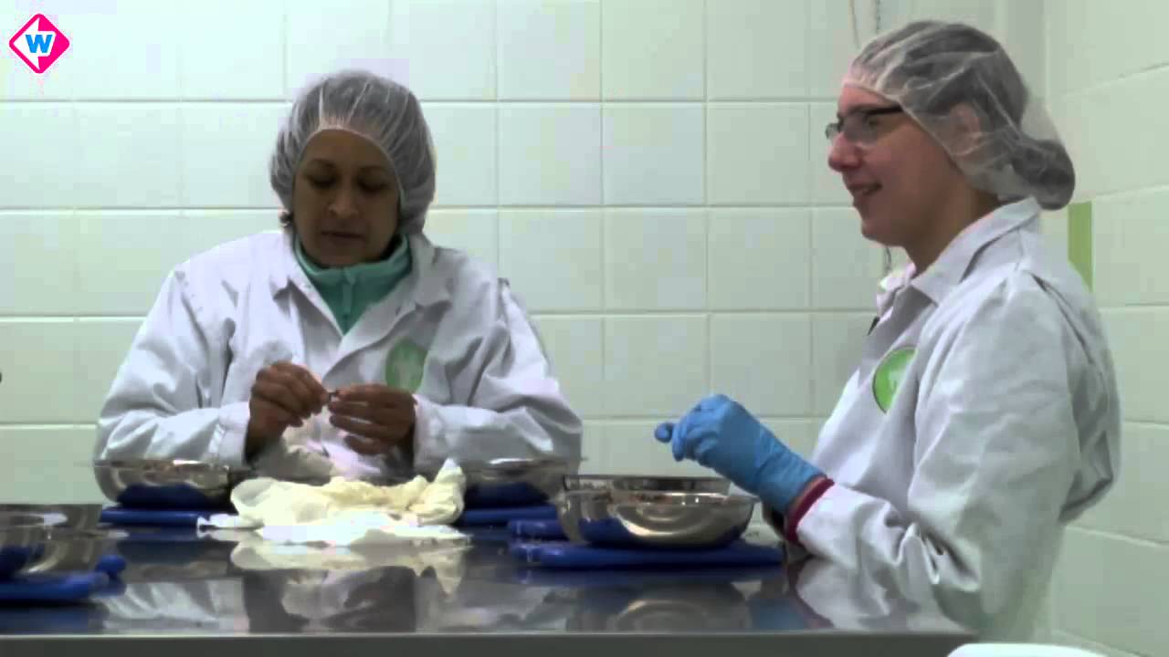 Professioneel garnalen pellen_ in 6 seconden gepiept