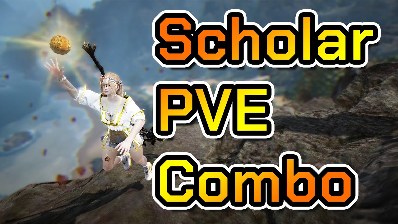 Scholar PVE Combo Infinite Hight damage - Black Desert