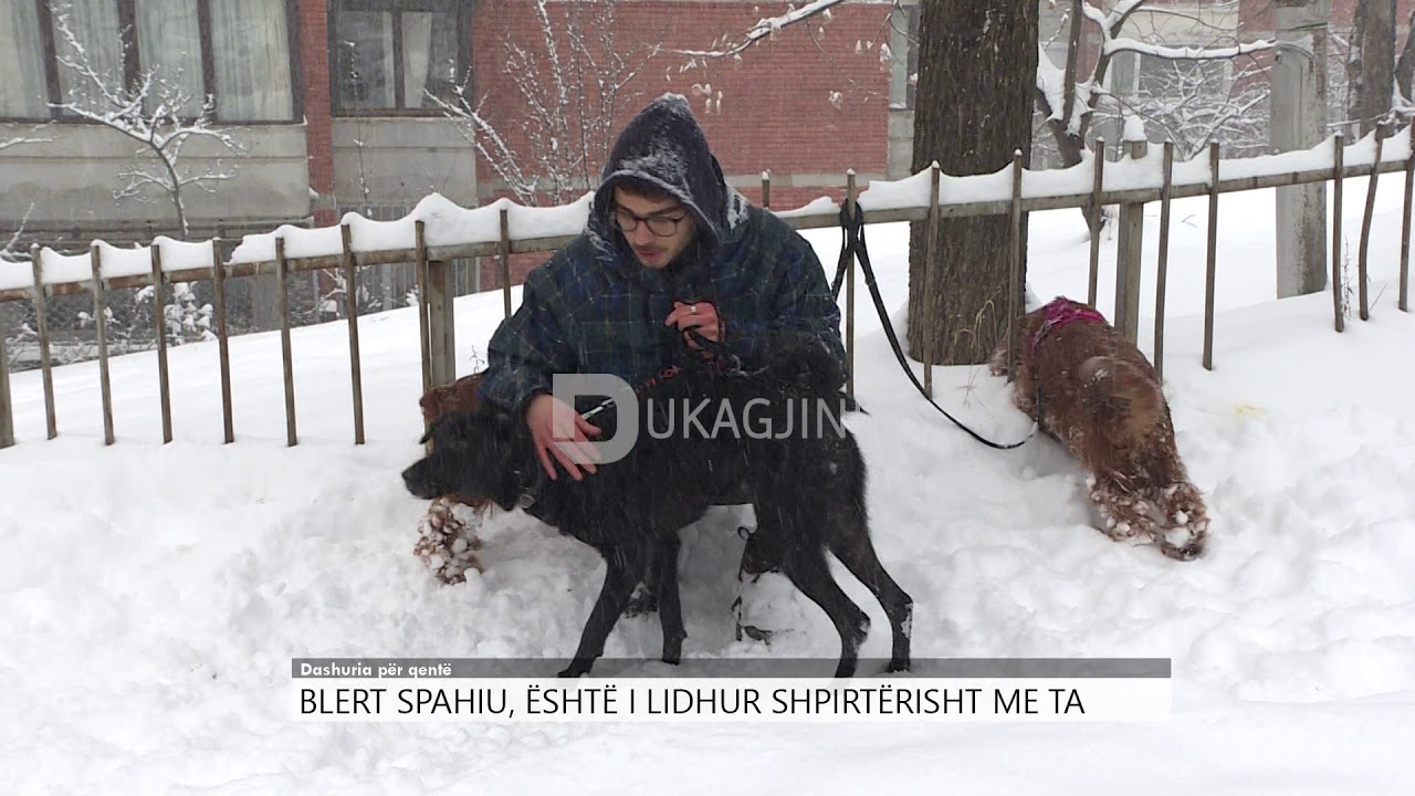 PasDite: Blert Spahiu është i lidhur shpirtërisht me qentë
