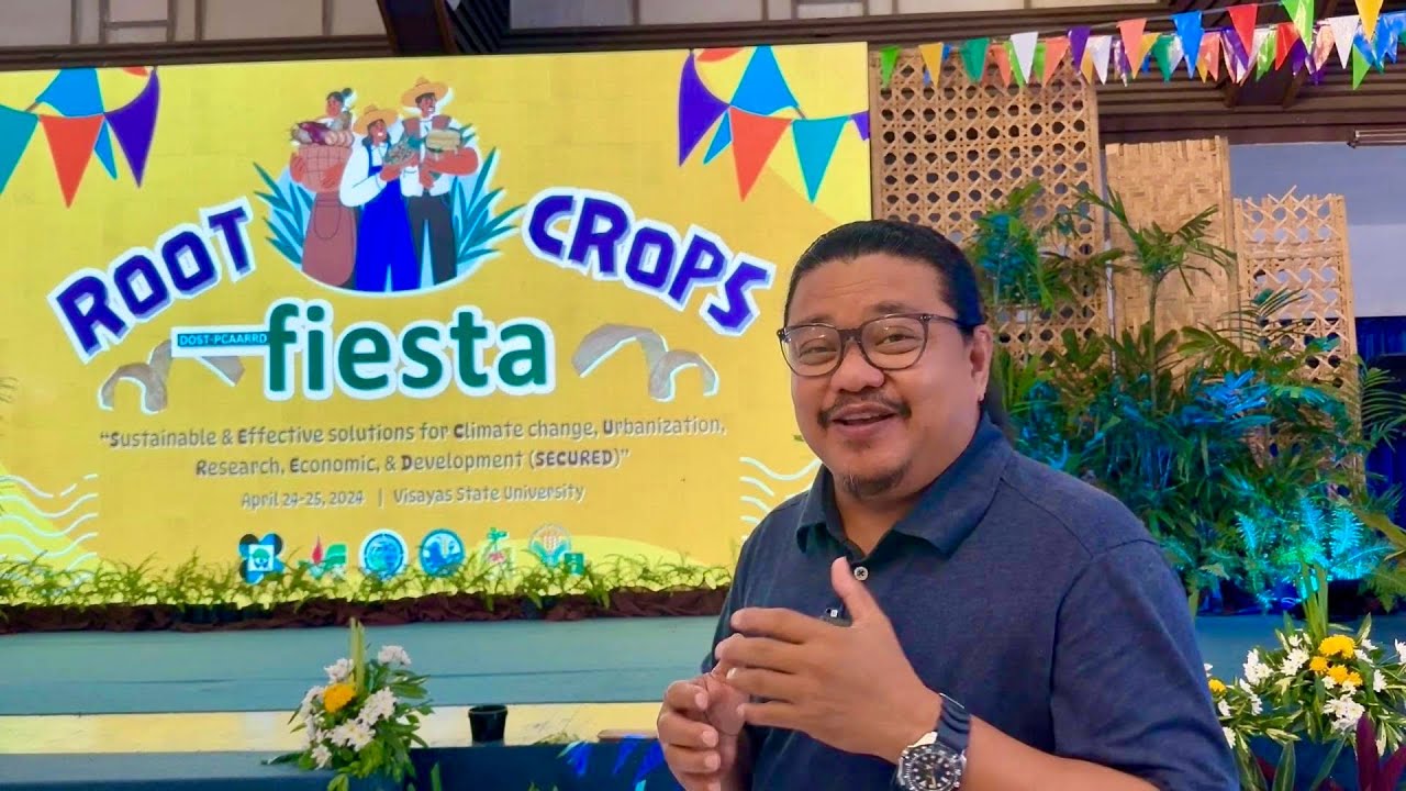 ROOT CROPS: Importance, Potential para sa Farmers, as Business, New Technologies, Value Adding