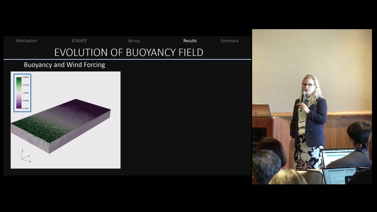 Energetics of a Model Ocean Basin with Surface Buoyancy and Wind Forcing -- Barbara Zemskova