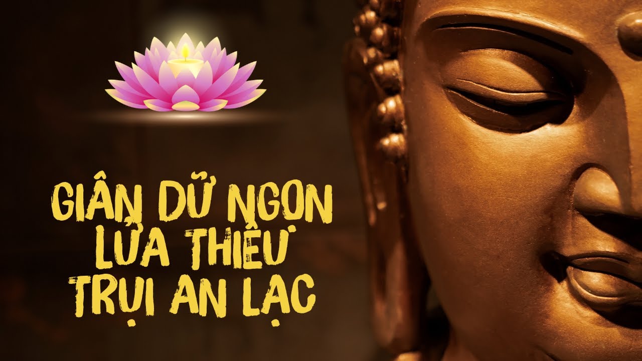 Giận Dữ Ngọn Lửa Thiêu Trụi An Lạc #loiphatday #tambinhan