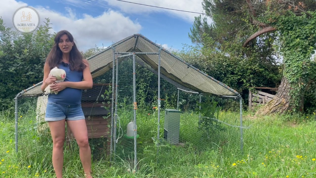 Cinque Consigli Per Far Felici Le Vostre Galline 🐔🌟