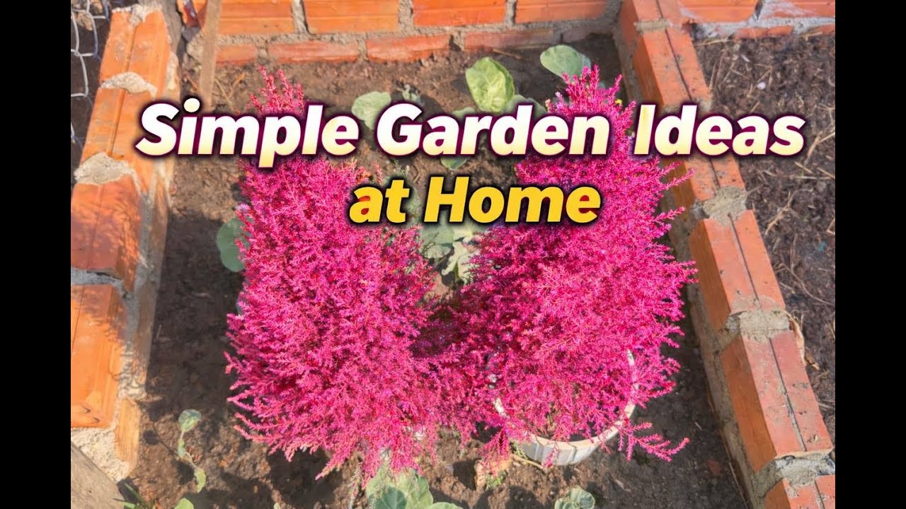 ealing Rain Sounds | Pure Relax ZonePeaceful Rain Forest 