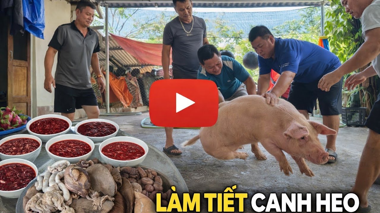 Cuối Tuần Vui Vẻ Cùng Anh Em – Thịt Lợn Khủng & Lòng Sốt Tiết Canh Tuyên Quang. 