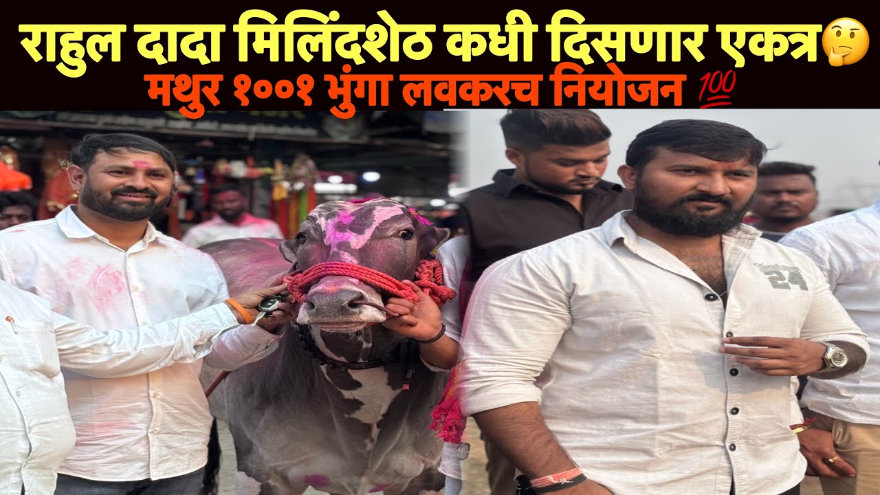 राहुल दादा मिलिंदशेठ कधी दिसणार एकत्र🤔 | मथुर १००१ भुंगा लवकरच नियोजन 💯