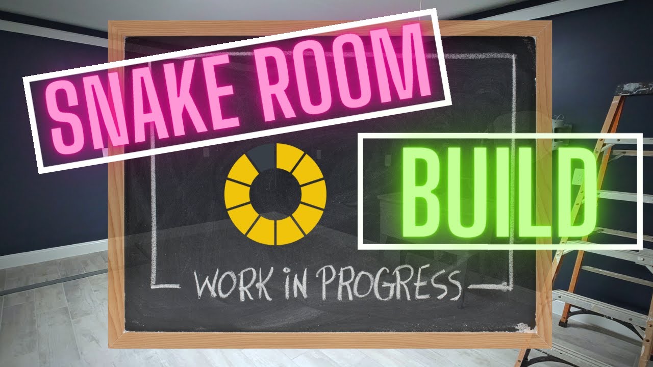 Snake Room Build Preview // Embers New Reptile Room!