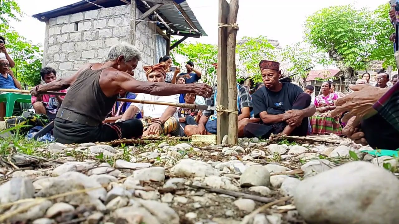 Part 1. Proses pemilihan Kepala Suku Tahu Kawa'ik Besikama Umamolin ( Tudu Afuan )