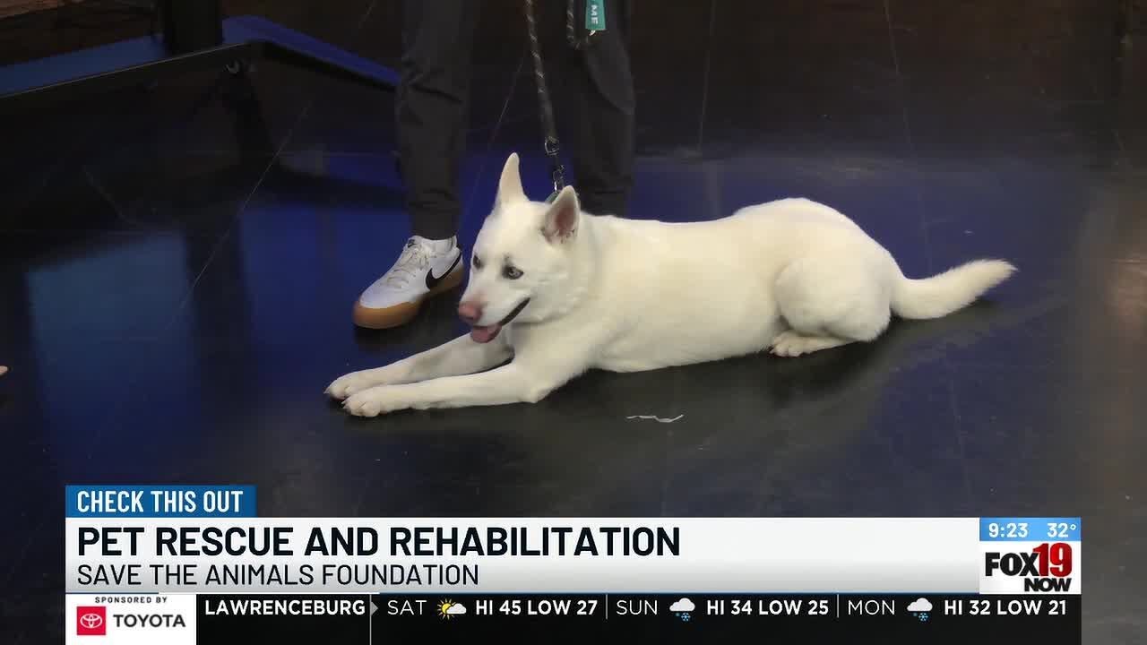 Save the Animals Foundation to host Channel Your Flannel fundraiser March 21