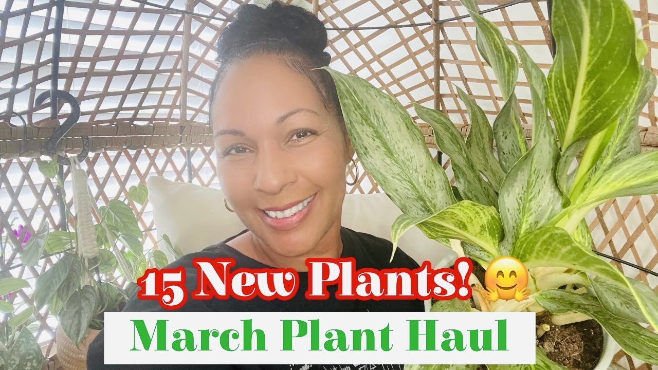 March Plant Haul || 15 New Plants || More Aglaonemas and Others!