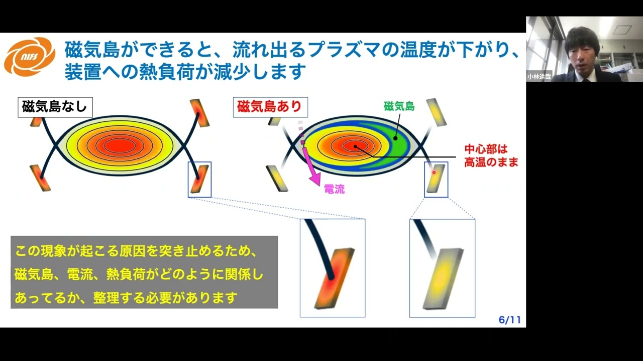 【プレスリリース】 プラズマ中の「食べる食べられる」の関係 - 生態学発の数理モデルで磁気島の脈動機構を解明