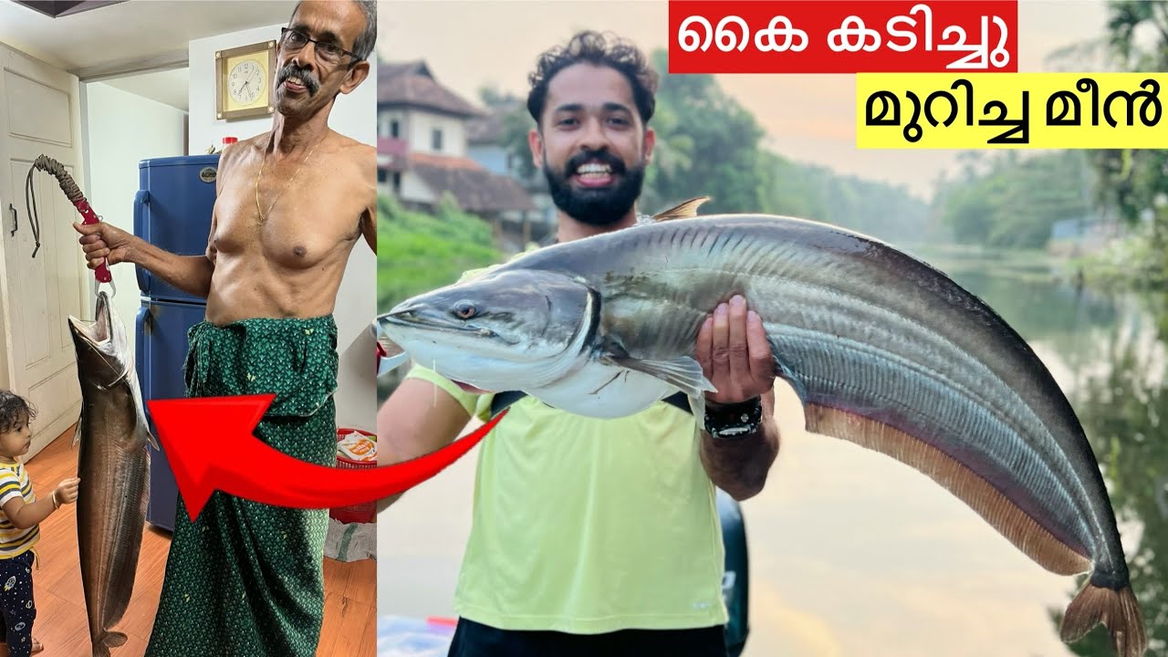 🔥ആറ്റിലെ വാളയും.. ലക്ഷകണക്കിന് പല്ലും..  | Surprised my family with a Monster fish