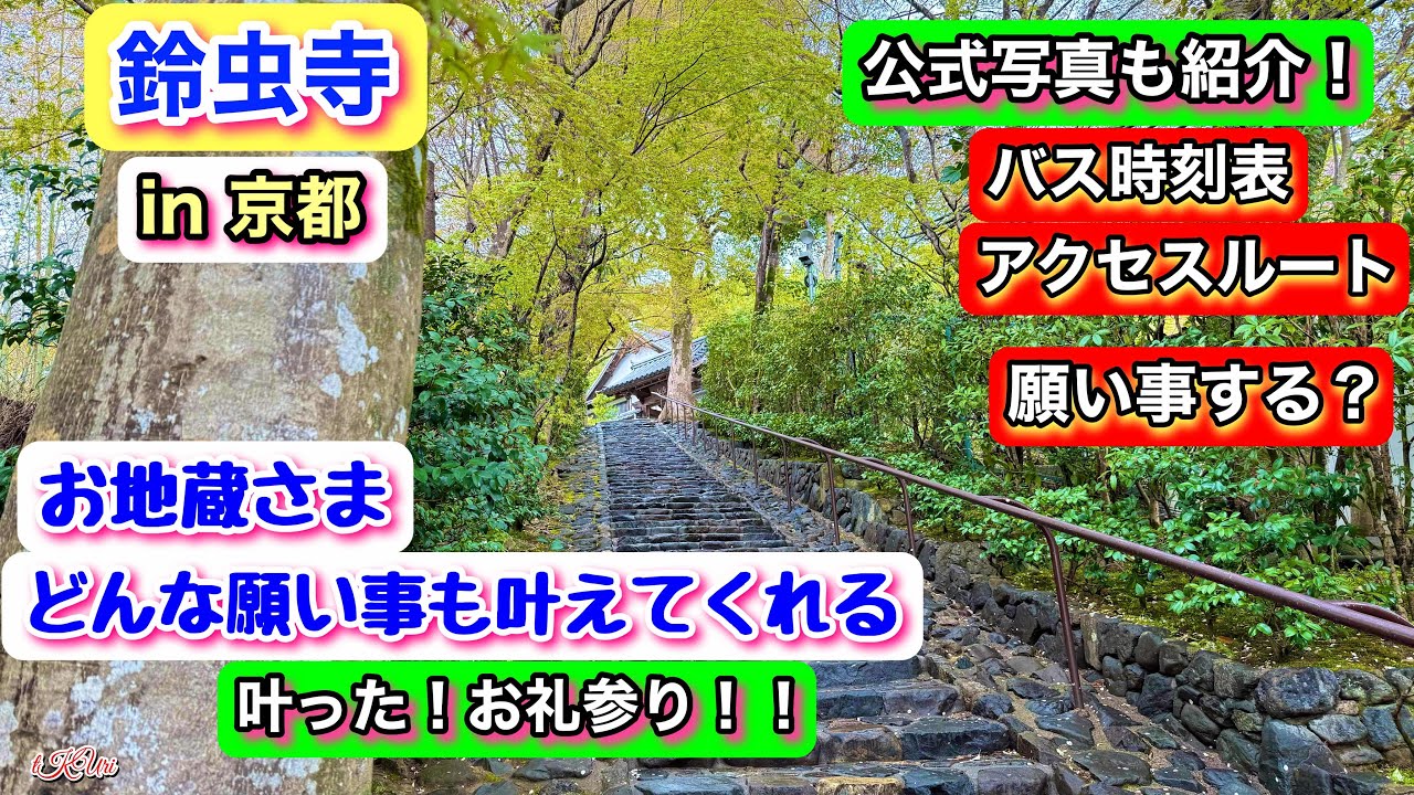 【京都】《鈴虫寺》願いが叶ったらお礼参りへ｜どんな願い事も叶えてくれるお地蔵様｜鈴虫寺公式写真も紹介＆混雑の様子も！最寄駅バス停の時刻表あり