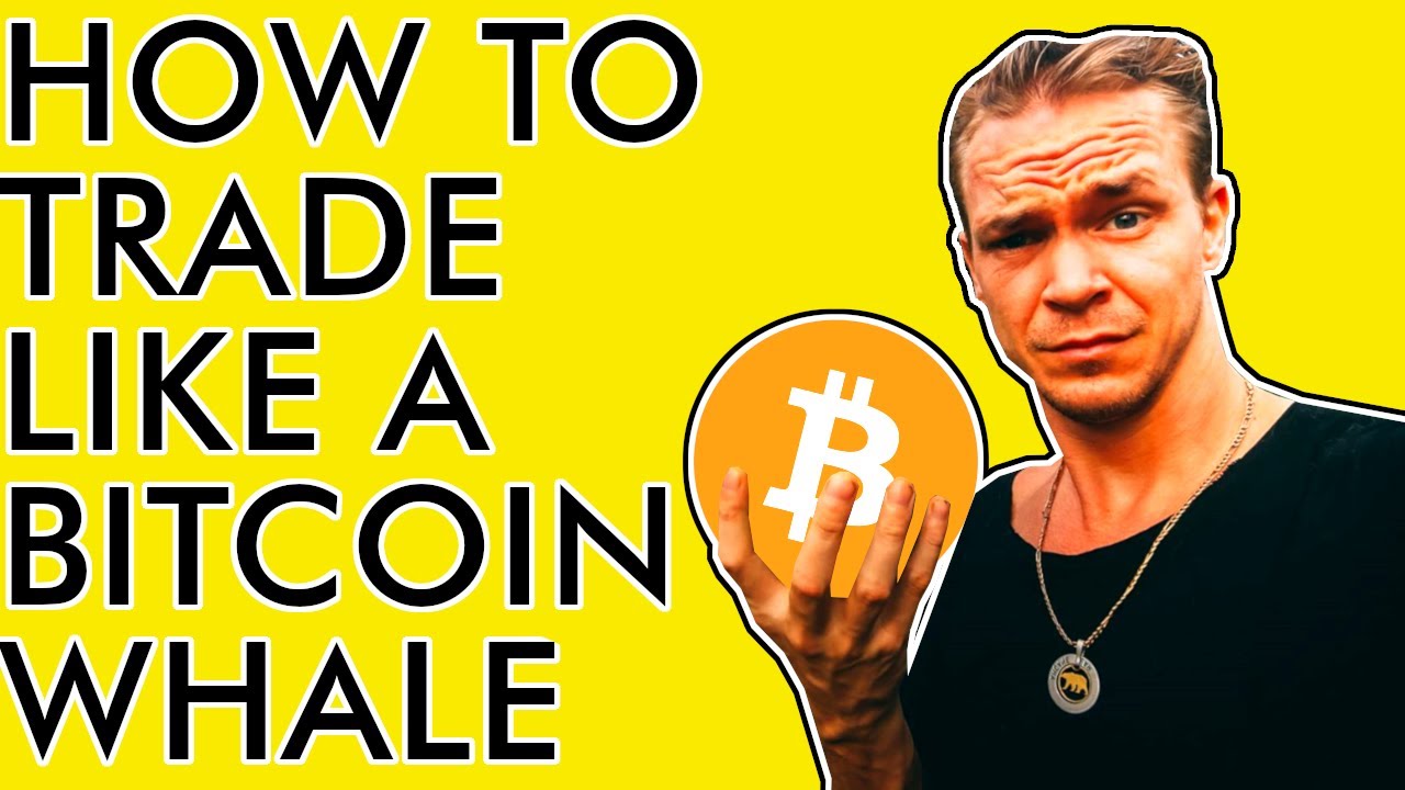 HOW BITCOIN WHALES MANIPULATE THE PRICE AND YOU CAN FOLLOW THEM TO HUGE PROFITS!!! WYCKOFF METHOD