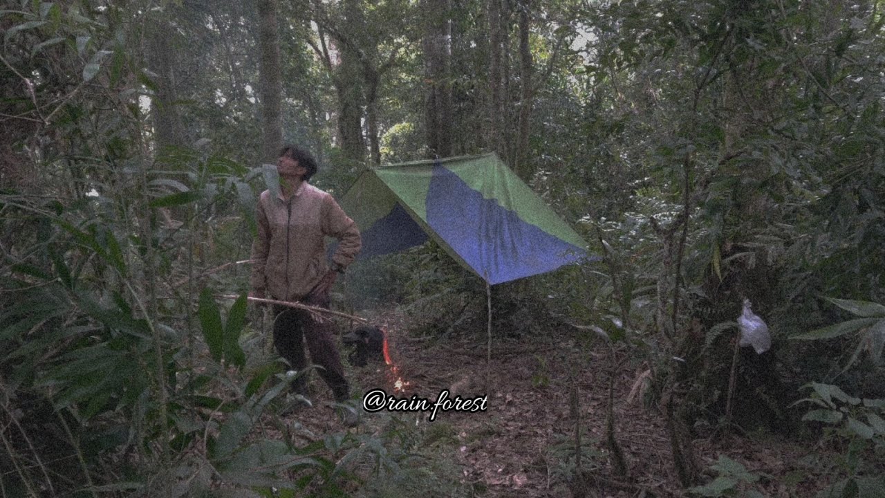 Petualangan solo memasuki hutan pedalaman dan membuat jebakan pitapak