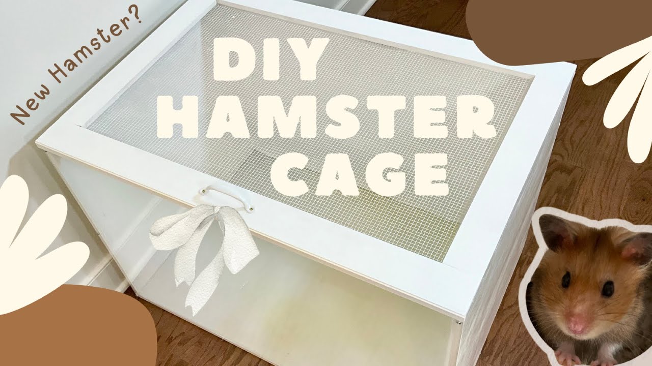 Build A Hamster Cage With Me