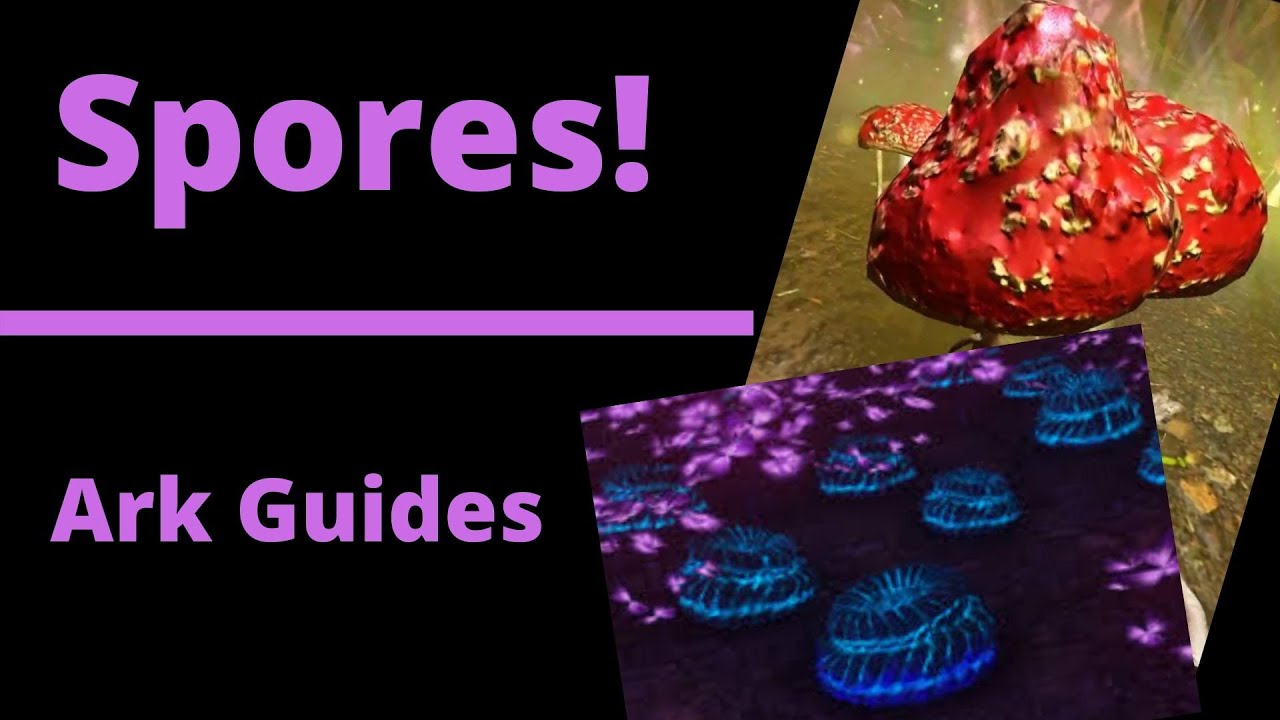 Spores, Everything You Need To Know!  / Ark Guides