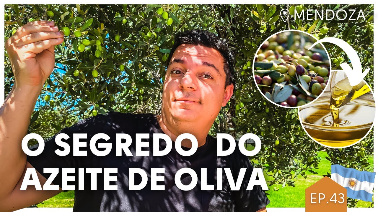 Fábrica de azeite de oliva e a bodega mais famosa do instagram: Trapiche | Mendoza