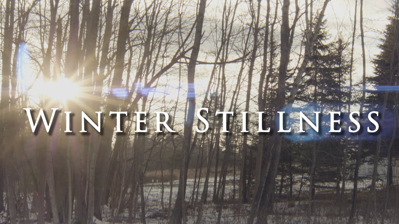 Winter Stillness