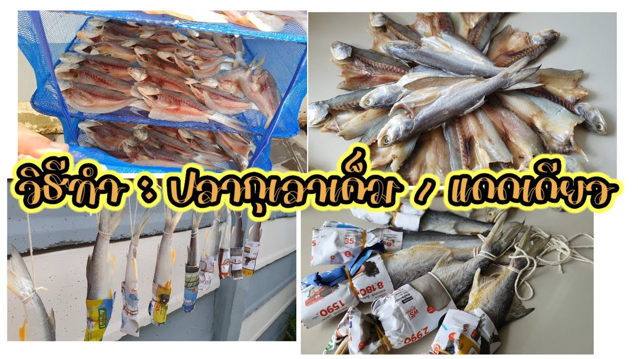 EP.(42) ฤดูล่าปลากุเลา มาทำปลาเค็ม และ แดดเดียว วิธีทำปลาเค็มในแบบฉบับแม่ลี สูตรดั้งเดิม