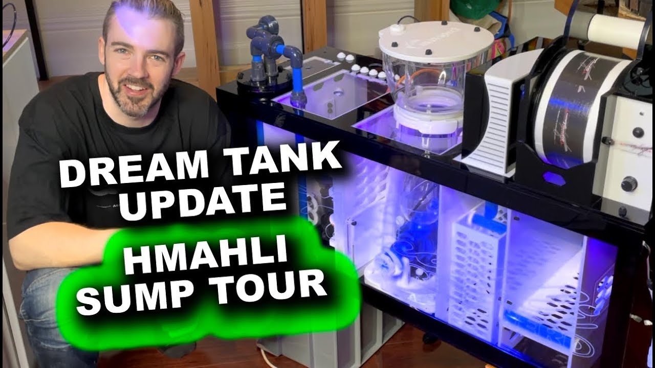 DREAM SUMP! Самый многофункциональный Hmahli Sump в мире!
