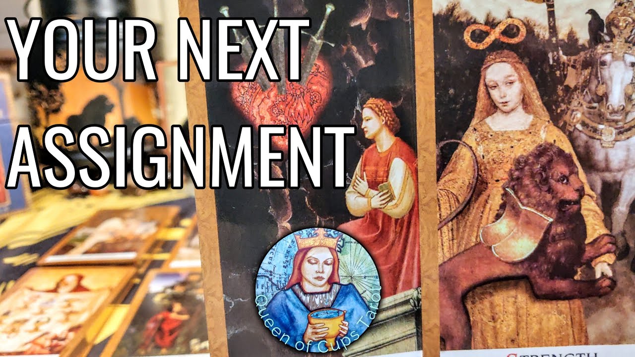 WHY DID YOU EVEN GO THROUGH ALL THIS? - Timeless Near Personal Love & Spirituality Reading 🌾