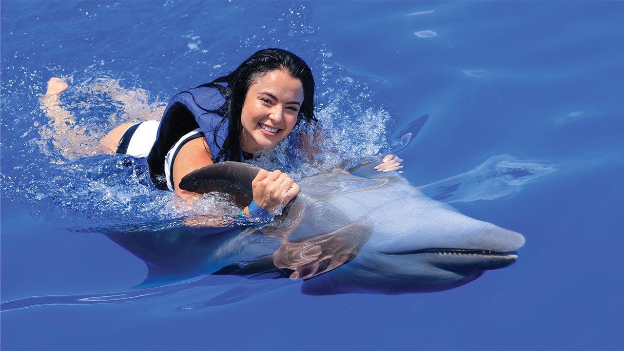 Swim with Dolphins & Sea Lions in Puerto Vallarta | Vallarta Adventures&reg;