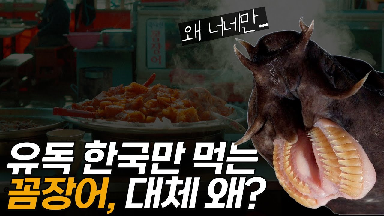 꼼장어, 왜 한국만, 어째서 먹게 됐을까?
