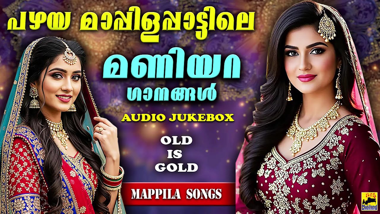 പഴയ മാപ്പിളപ്പാട്ടിലെ മണിയറ ഗാനങ്ങൾ Old Is Gold Mappilapattukal | Pazhaya Mappila Songs | Old Songs