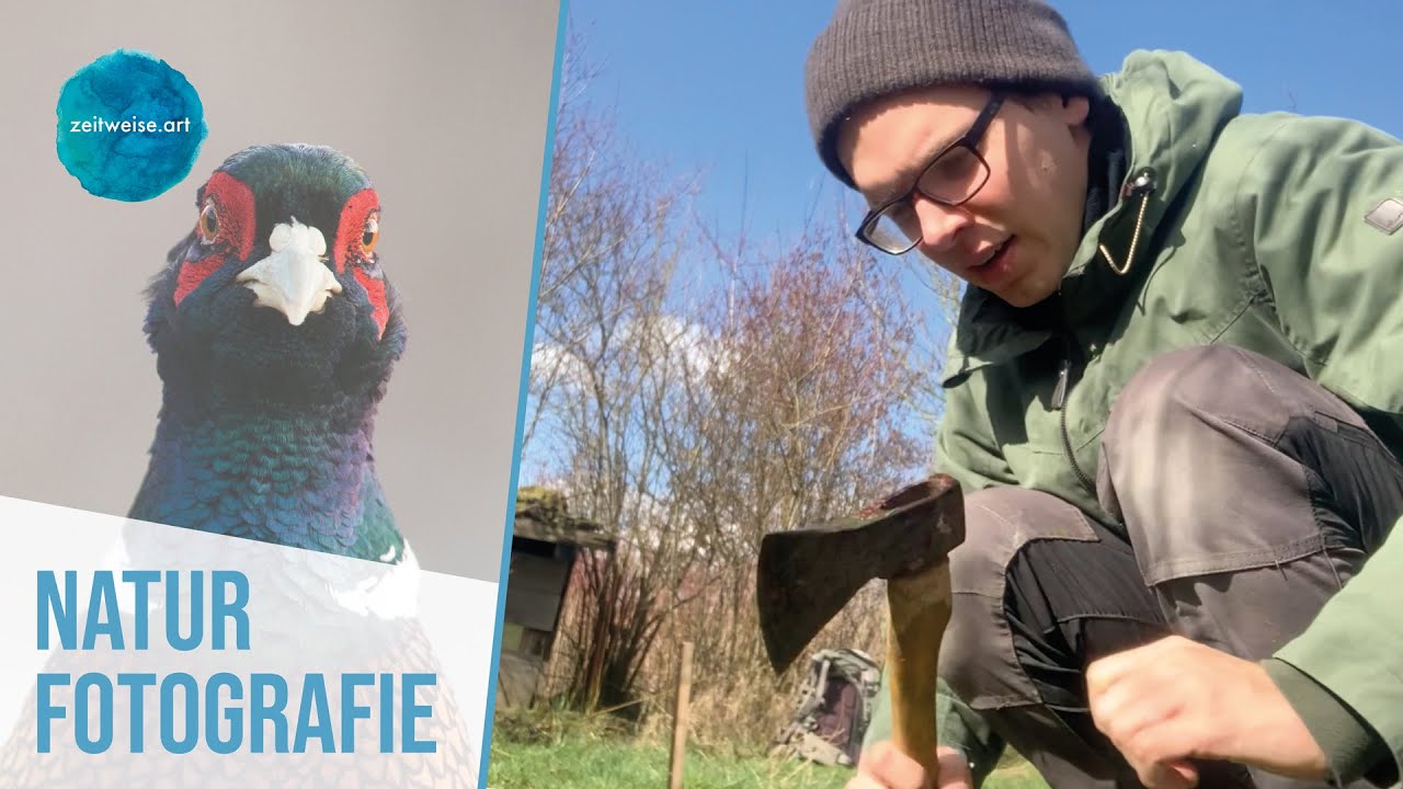 Fasane hassen diesen Trick | Zeitweise Naturfotografie