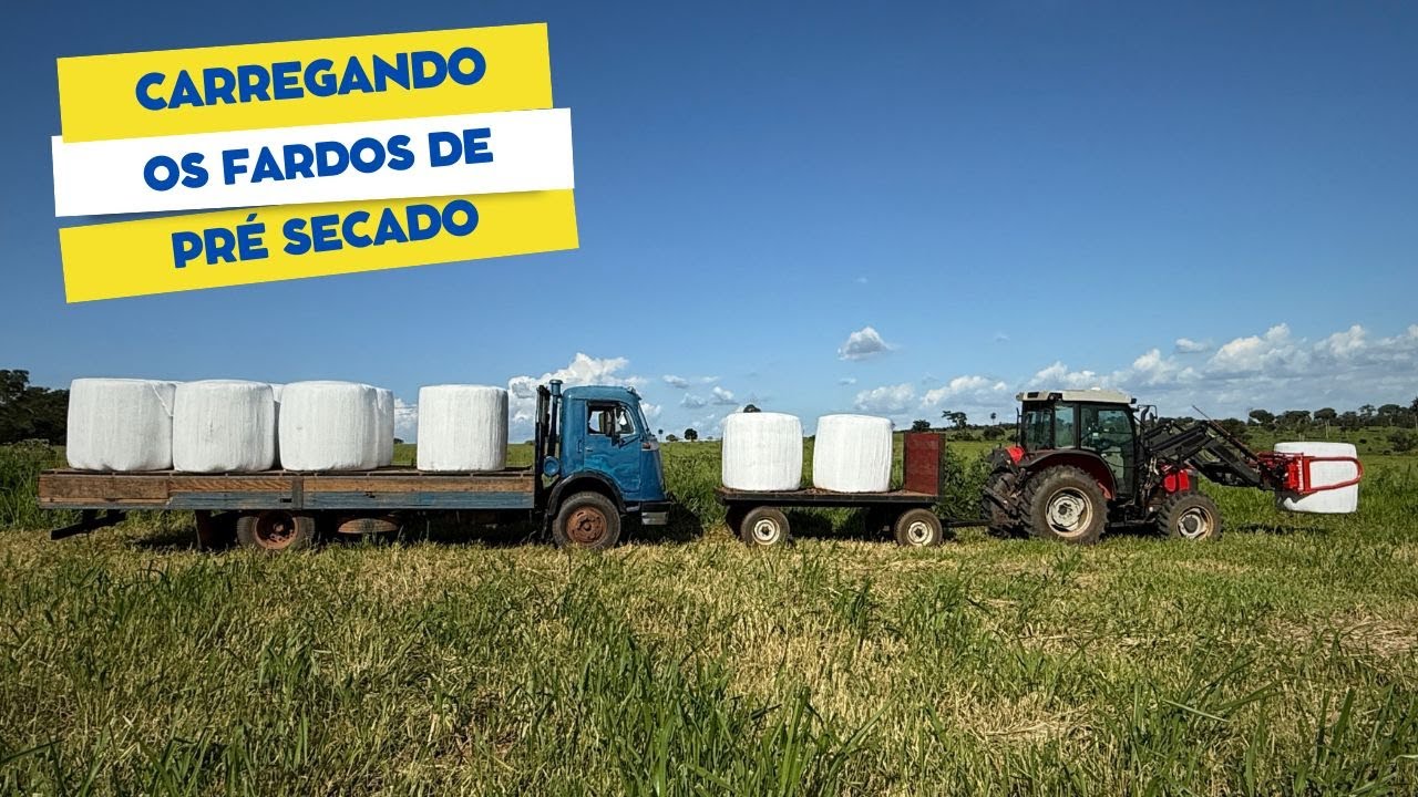 CARREGANDO OS FARDOS DE PRÉ SECADO. UMA TEMPESTADE PASSOU PELA FAZENDA.