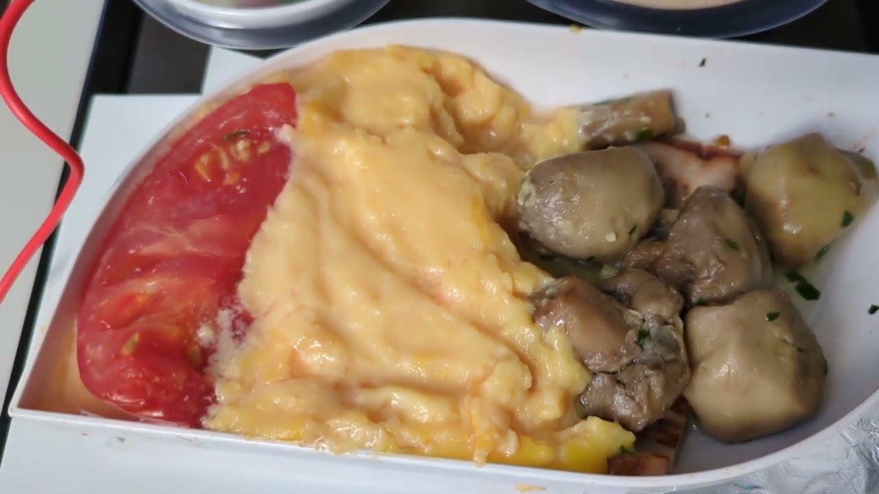 We Tried TURKISH AIRLINES KIDS MEALS