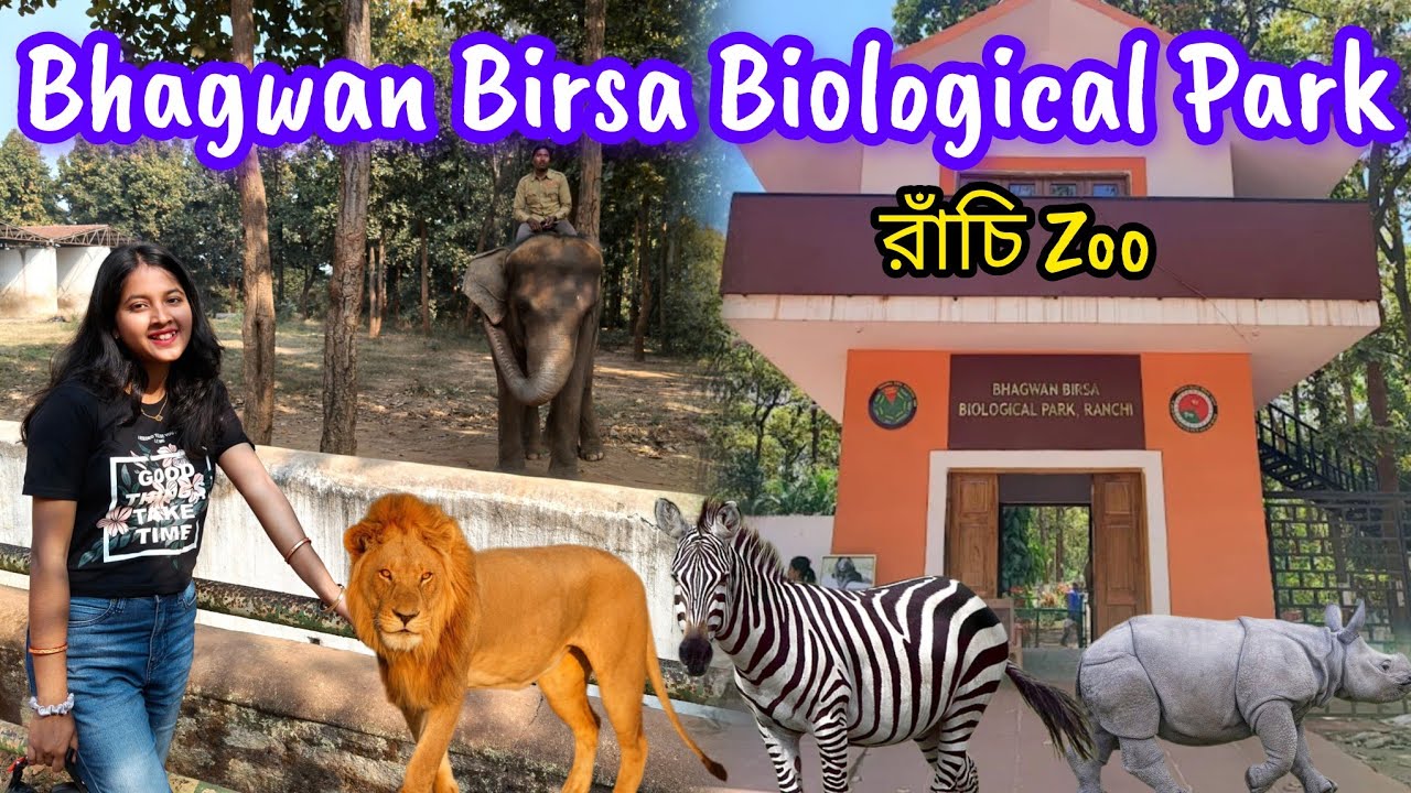 RANCHI ZOO || Bhagwan Birsa Biological Park || Zoo of Ranchi || রাঁচি ভ্রমণ || 