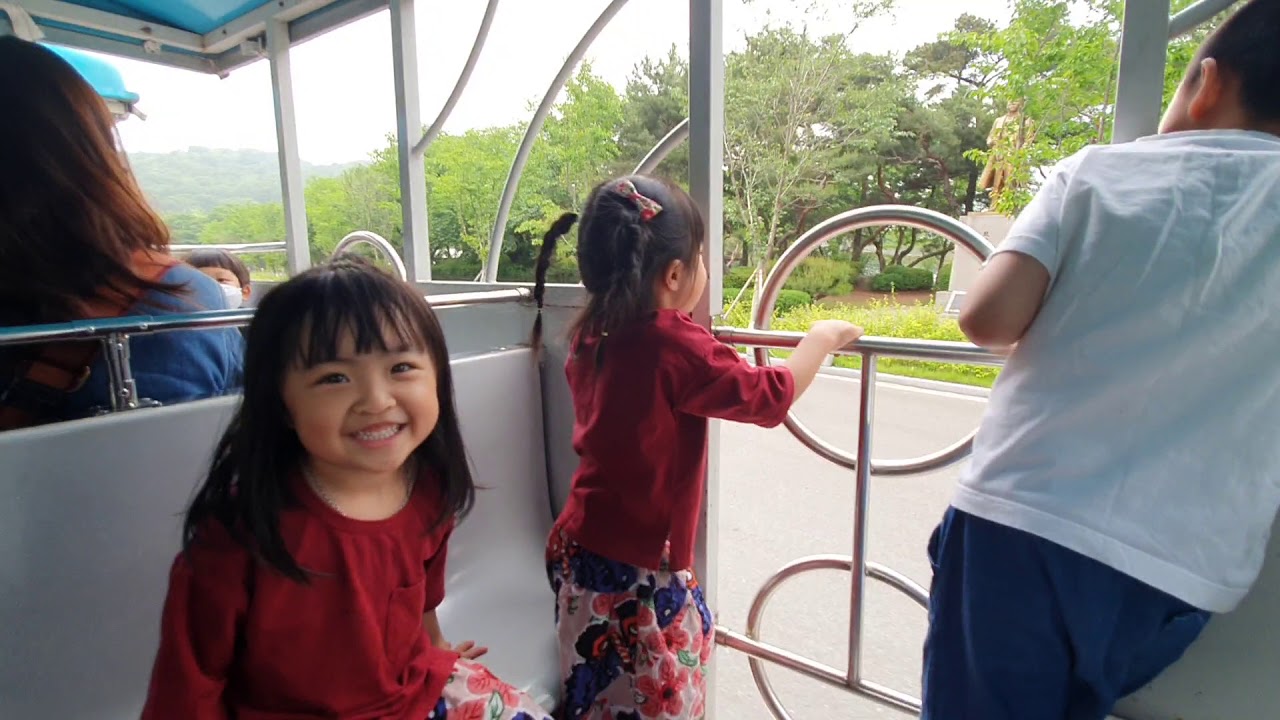 서울대공원 코끼리열차~~🚂🐘🚃🐘🚞🐘